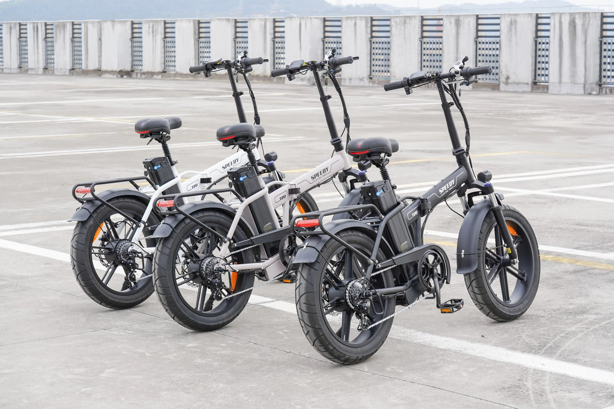 Fatbike Q30