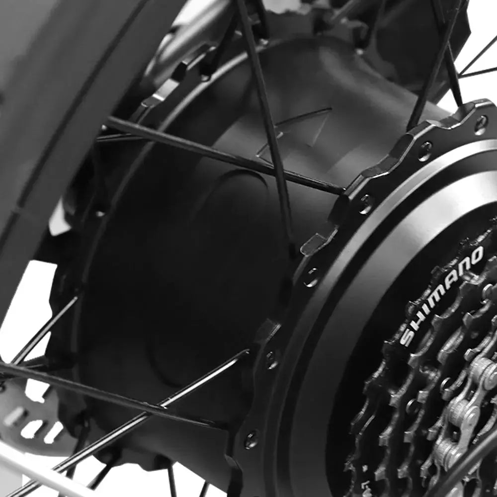 Fatbike RSE - Zwart - foto 9