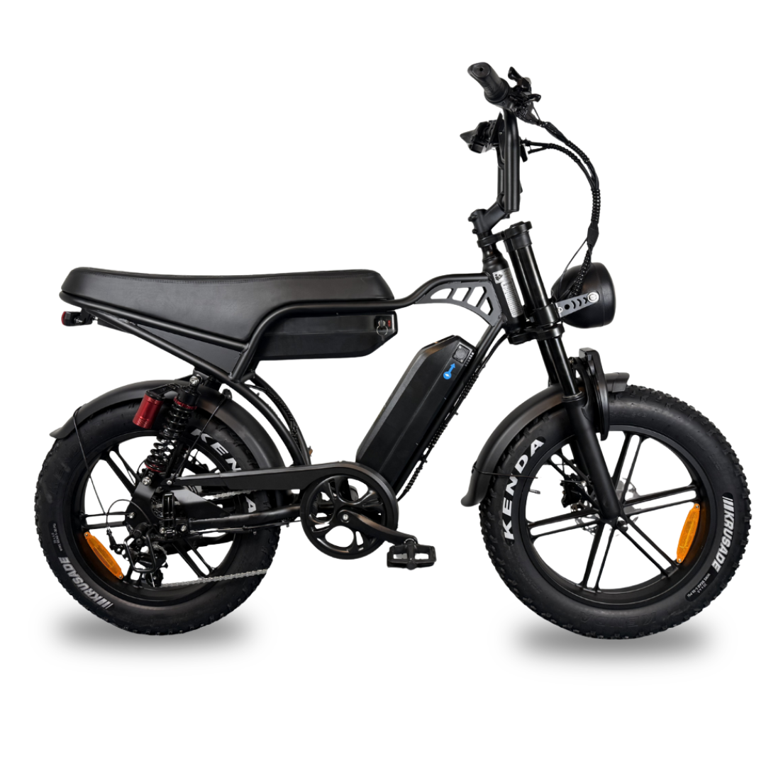 Fatbike V29 - Dubbele accu - 2026 - Zwart - foto 2