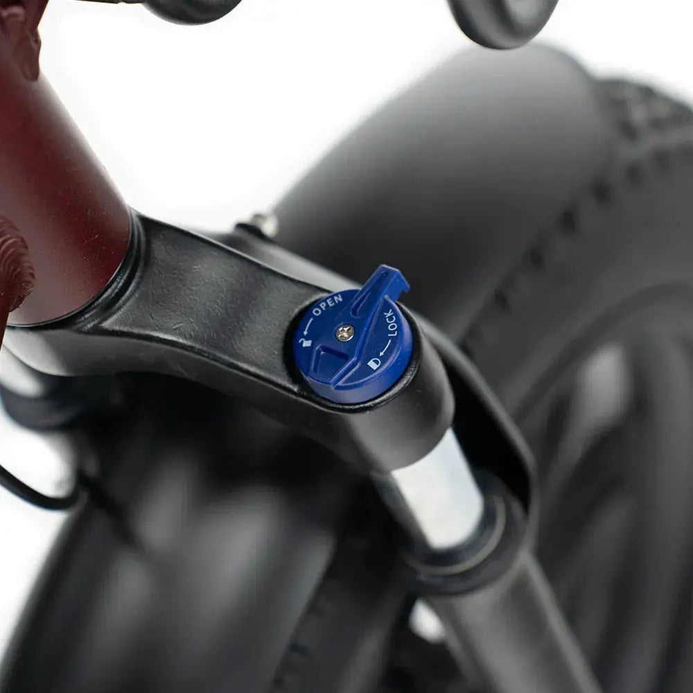 Fatbike ENGWE L20 Boost