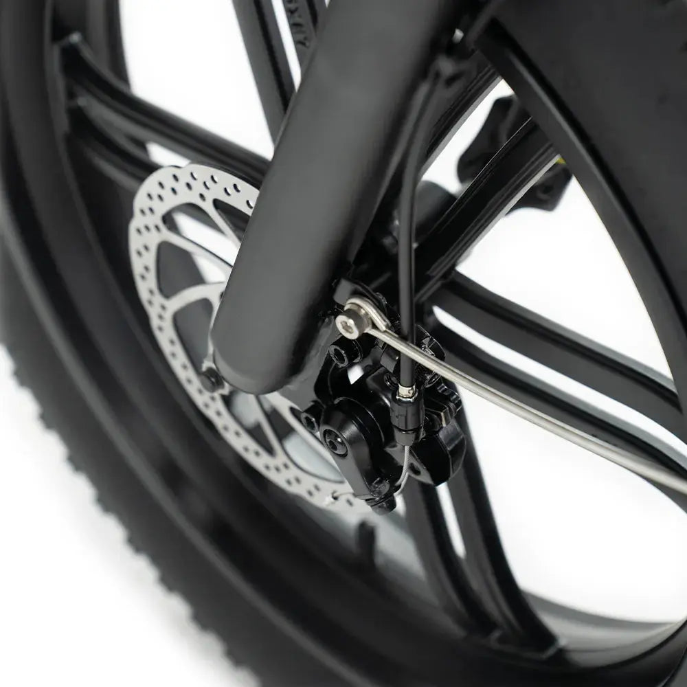 Fatbike ENGWE L20 Boost