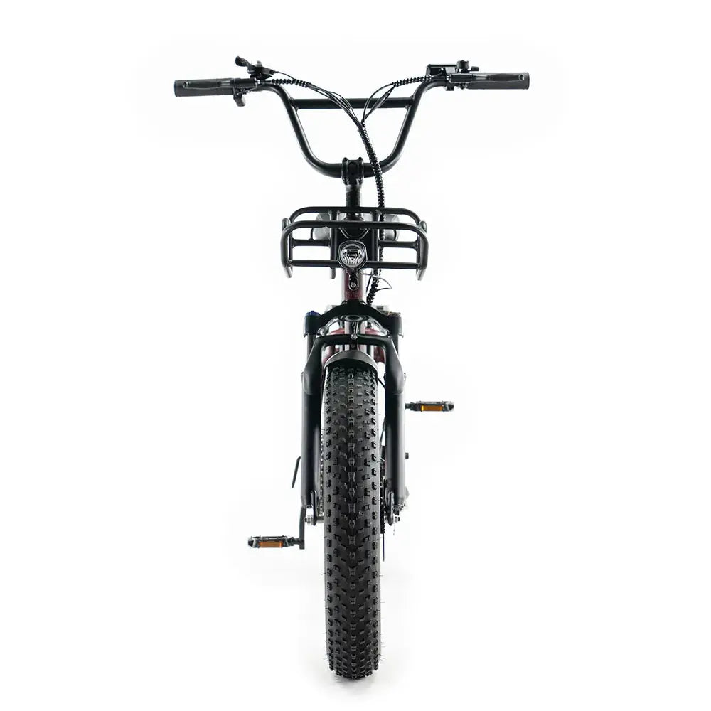 Fatbike ENGWE L20 Boost