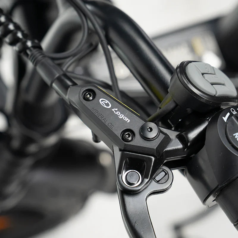 Fatbike Ouxi V8/C80 5.0 2026 Model