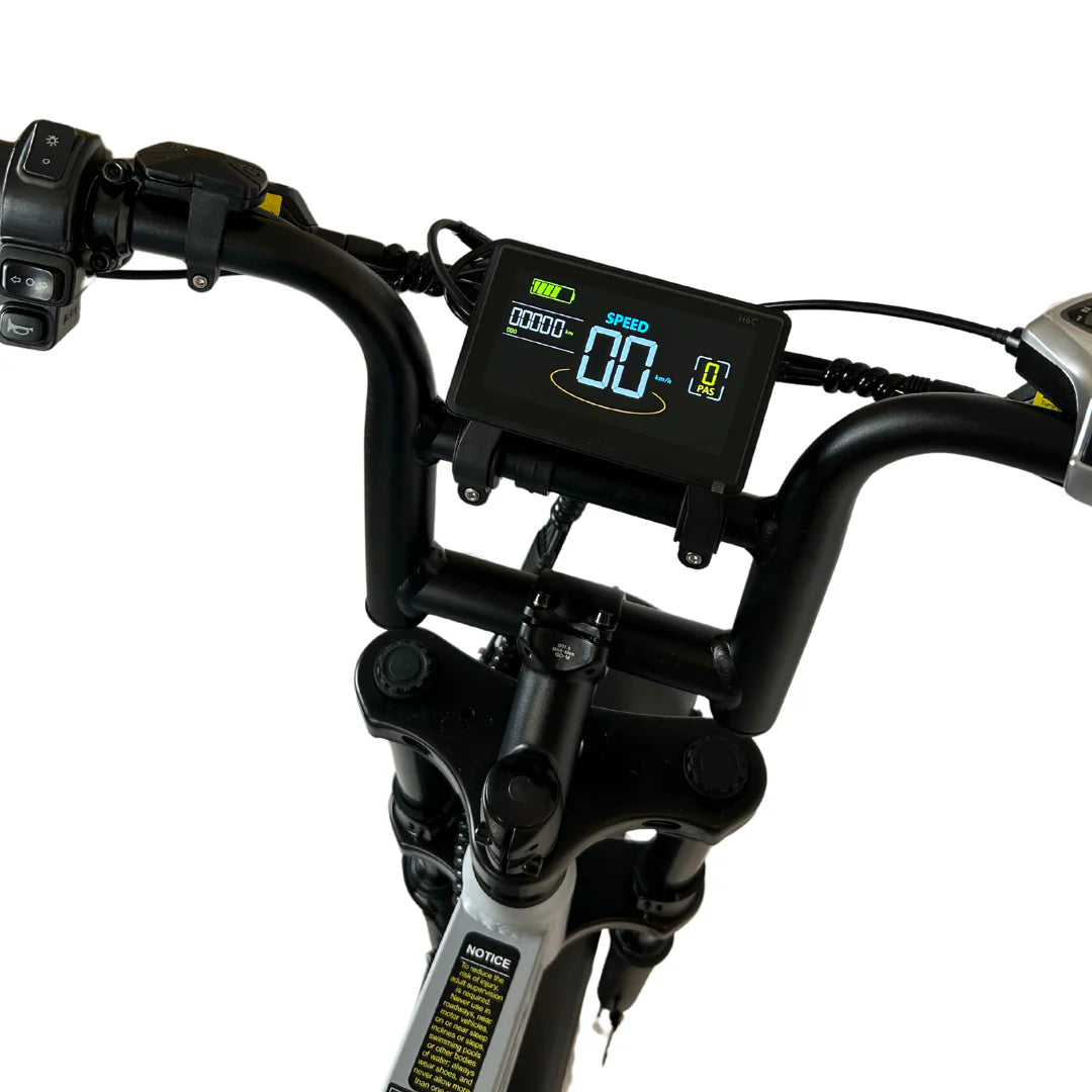 Fatbike V20 Pro 9.0 - Nardo Grey - 2025