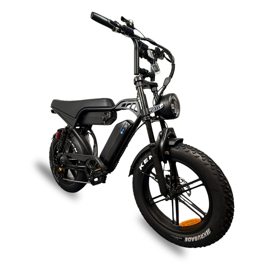 Fatbike V29 - Dubbele accu - 2026 - Zwart - foto 3