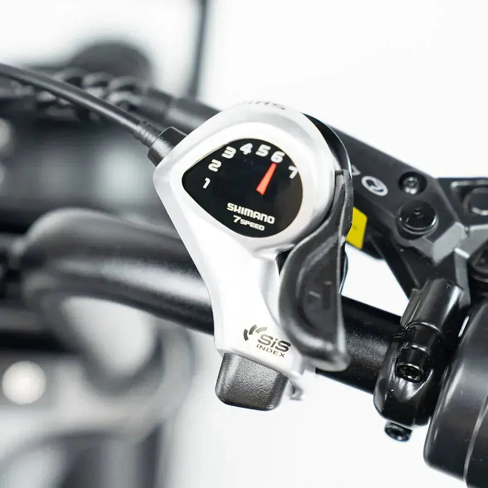 Fatbike V29 - Dubbele accu - 2026 - Zwart - foto 10