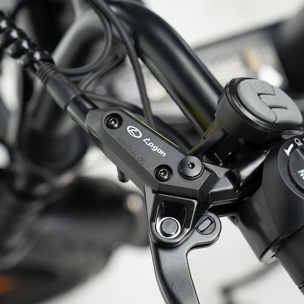 Fatbike OUXI V8 6.0 (C80) Max - Dubbele accu - Zwart - foto 9